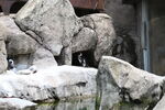 DSC_9153.JPG